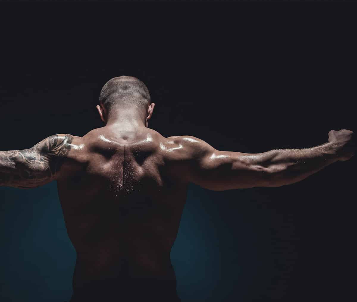 How Do Steroids Grow Muscles? | Oxygen Pharm